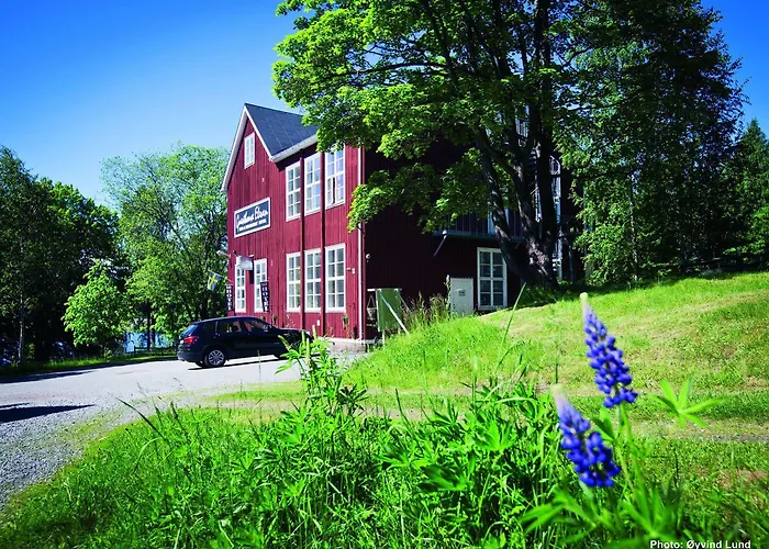 Guesthouse Eleven Hotel