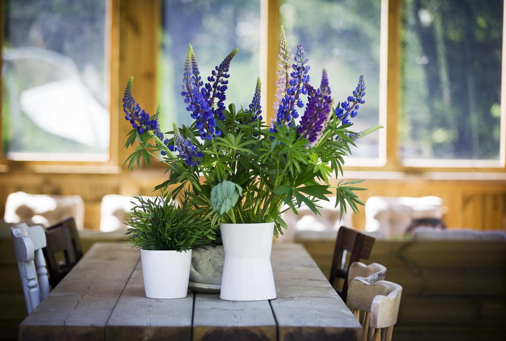 Eleven Guest house Arvika